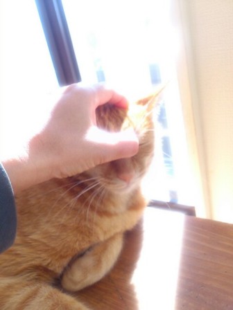 めやに.jpg