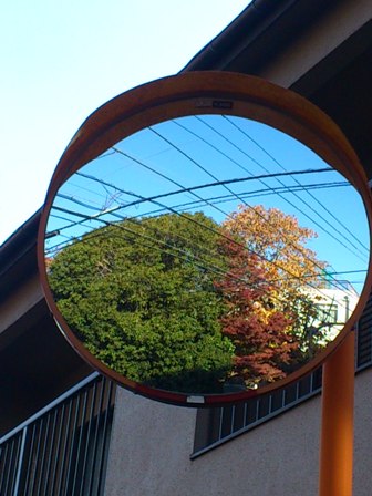 紅葉ミラー.JPG